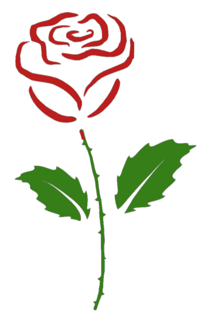 Das Herz in den Lenormandkarten mit roter Rose beim Kartenlegen richtig deuten.