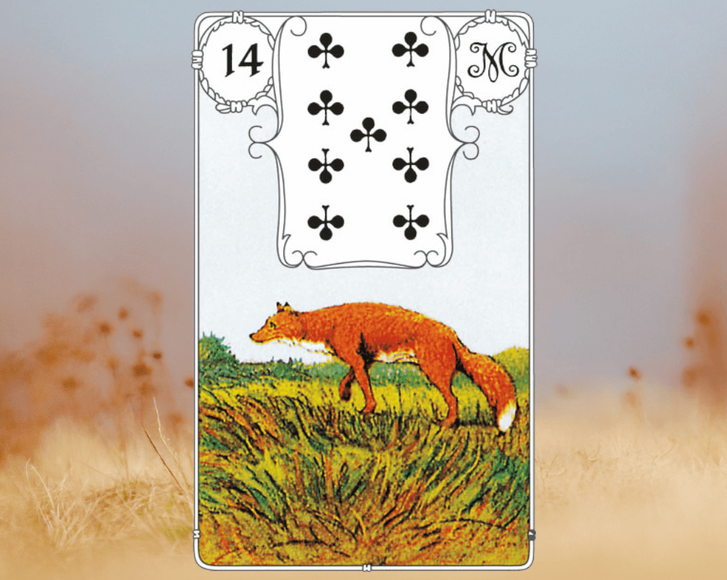 Lenormand Fuchs (Karte 14): Bedeutung, Deutung & Kombinationen 5 Bedeutung Fuchs Lenormand