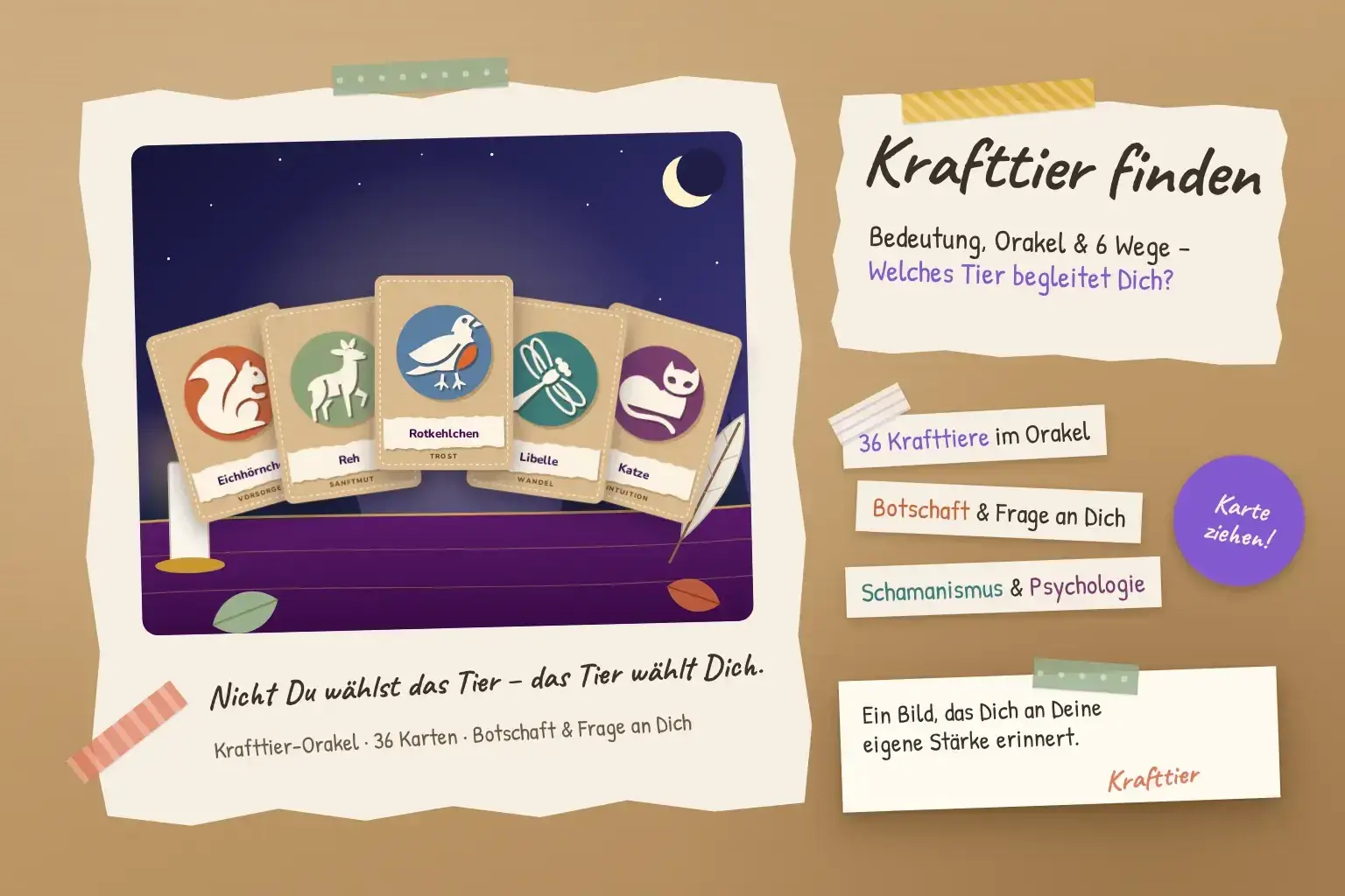 Collage zum Krafttier finden: f&uuml;nf Krafttierkarten mit Eichh&ouml;rnchen, Reh, Rotkehlchen, Libelle und Katze vor dem Nachthimmel, daneben Kerze, Feder und Herbstbl&auml;tter