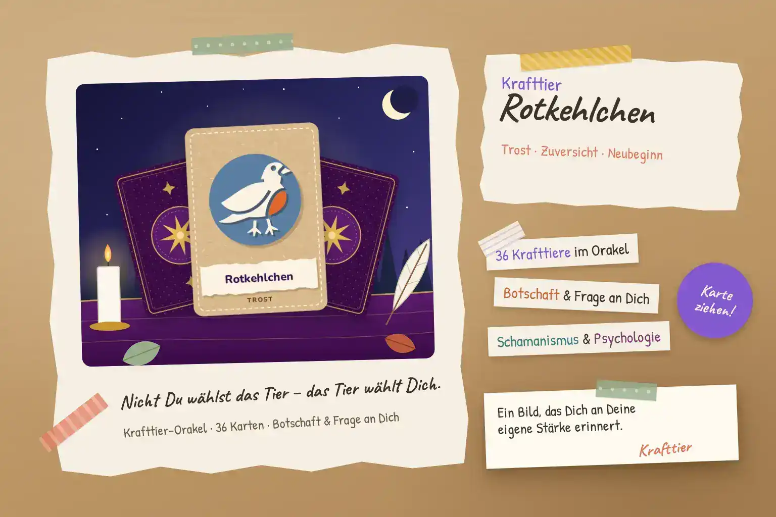 Collage zum Krafttier Rotkehlchen: Krafttierkarte mit Rotkehlchen-Silhouette zwischen zwei verdeckten Orakelkarten vor dem Nachthimmel, daneben Kerze und Feder, Stichworte Trost, Zuversicht und Neubeginn